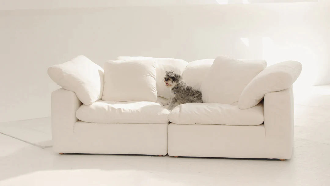 The Comfort Of Cloud Sectional – Opa Living